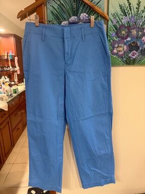 Women’s   Blue Casual Chino Pants